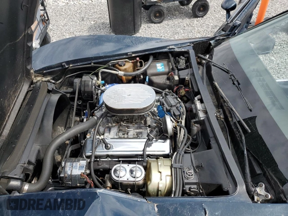 1979 Chevrolet Corvette with VIN 1Z8789S443088, listed as a Copart auction lot 54487225 with 22,449 mi miles and Salvage title. Bid and sale history available at DreamBid. Image 11.