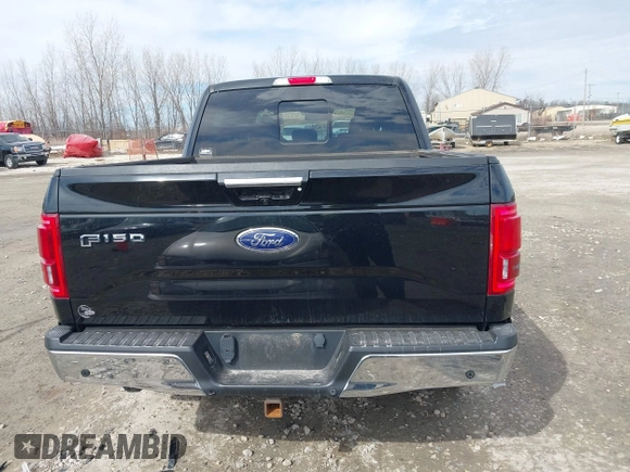 2016 Ford F-150 XLT with VIN 1FTEW1EG0GKD11992, listed as a IAAI auction lot 41815360 with 95,377 mi miles. Bid and sale history available at carsss.com. Image 17.
