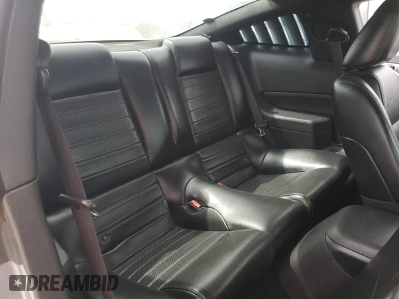 2006 Ford Mustang GT Deluxe with VIN 1ZVFT82H065218192, listed as a Copart auction lot 61077375 with 172,555 mi miles and Salvage title. Bid and sale history available at DreamBid. Image 10.