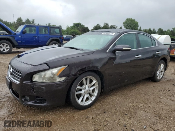2010 Nissan Maxima SV with VIN 1N4AA5AP6AC805386, listed as a Copart auction lot 58983035 with 210,062 mi miles and Salvage title. Bid and sale history available at DreamBid. Image 1.