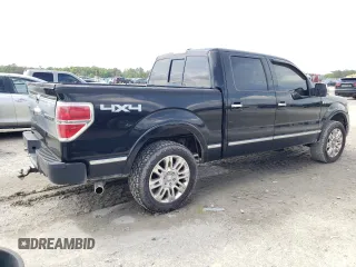 2009 Ford F-150 XL with VIN 1FTPW14V89FB24634, listed as a Copart auction lot 51163675 with 148,131 mi miles and Clean Title. Bid and sale history available at carsss.com. Image 3.