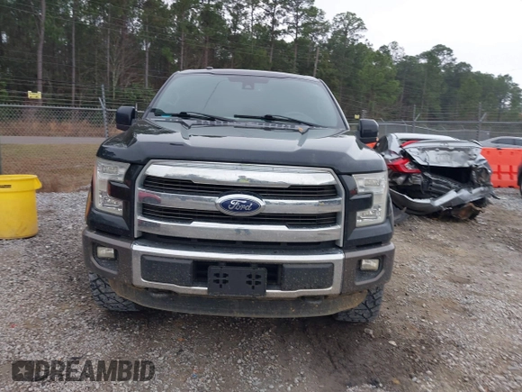 2016 Ford F-150 XLT with VIN 1FTEW1EG1GFC00604, listed as a IAAI auction lot 41519752 with 120,834 mi miles. Bid and sale history available at carsss.com. Image 12.