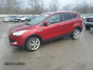 2015 Ford Escape Titanium with VIN 1FMCU0J94FUC07325, listed as a Copart auction lot 46539625 with 205,868 mi miles and Salvage Title. Bid and sale history available at DreamBid. Image 1.