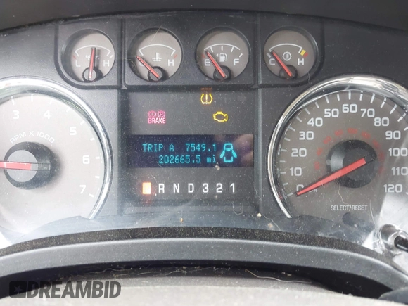 2010 Ford F-150 XL with VIN 1FTEW1E81AFB34071, listed as a IAAI auction lot 41928875 with 202,665 mi miles and . Bid and sale history available at DreamBid. Image 7.