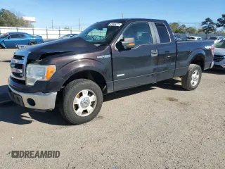 2014 Ford F-150 XL with VIN 1FTFX1ET1EFB38231, listed as a Copart auction lot 49866275 with 175,404 mi miles and Salvage Title. Bid and sale history available at carsss.com. Image 1.