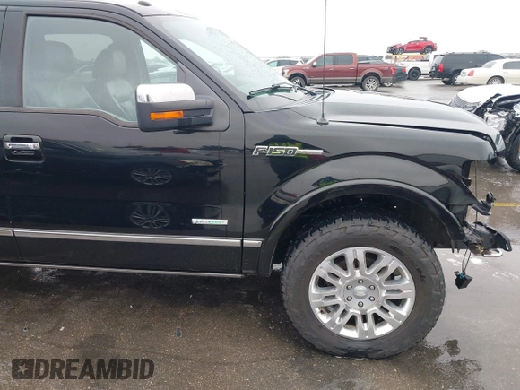 2011 Ford F-150 XLT with VIN 1FTFW1ET8BFD26923, listed as a IAAI auction lot 41406823 with 94,584 mi miles. Bid and sale history available at carsss.com. Image 19.