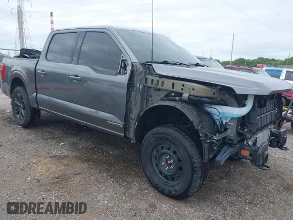 2021 Ford F-150 XL z VIN 1FTFW1ED7MFC02427, wystawiony jako IAAI lot #42336224 z przebiegiem 106 988 mil mil oraz . Historia ofert i sprzedaży dostępna na DreamBid. Obrazek 1.