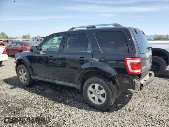 2011 Ford Escape Limited with VIN 1FMCU9EGXBKA75058, listed as a Copart auction lot 51312665 with 121,220 mi miles and Salvage Title. Bid and sale history available at DreamBid. Image 2.