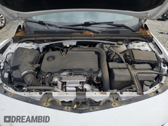 2021 Chevrolet Malibu LT with VIN 1G1ZD5ST1MF064284, listed as a Copart auction lot 53888495 with 96,805 mi miles and Salvage Title. Bid and sale history available at DreamBid. Image 11.