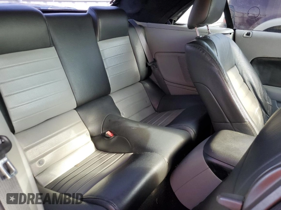 2008 Ford Mustang GT Deluxe with VIN 1ZVHT85H085191860, listed as a Copart auction lot 46396055 with 114,703 mi miles and Salvage Title. Bid and sale history available at DreamBid. Image 10.