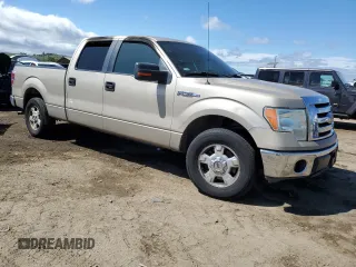 2010 Ford F-150 XL with VIN 1FTEW1C87AKA25821, listed as a Copart auction lot 49008285 with Not Provided miles and Salvage Title. Bid and sale history available at carsss.com. Image 4.