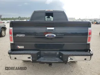 2014 Ford F-150 XL with VIN 1FTFW1ET1EFA43915, listed as a Copart auction lot 53135585 with 176,680 mi miles and Salvage title. Bid and sale history available at DreamBid. Image 6.