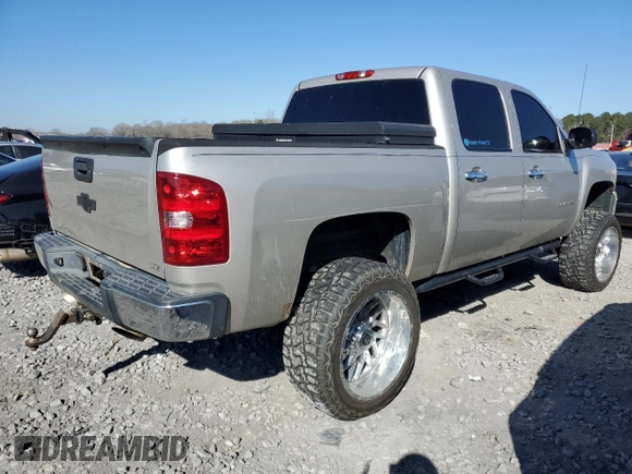 2009 Chevrolet Silverado 1500 LT with VIN 3GCEC23J49G166172, listed as a Copart auction lot 46157755 with 0 mi miles and Salvage Title. Bid and sale history available at carsss.com. Image 3.