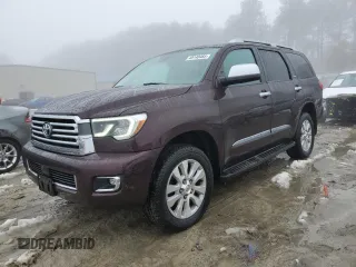 2019 Toyota Sequoia Platinum with VIN 5TDDY5G15KS167508, listed as a Copart auction lot 45140485 with 117,197 mi miles and Salvage Title. Bid and sale history available at carsss.com. Image 1.