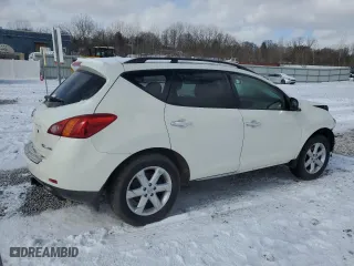 2010 Nissan Murano LE with VIN JN8AZ1MW8AW134658, listed as a Copart auction lot 45896465 with 137,943 mi miles and Salvage Title. Bid and sale history available at carsss.com. Image 3.