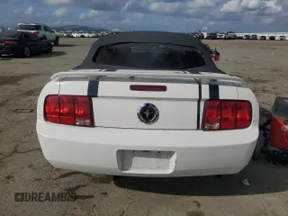 2005 Ford Mustang Deluxe with VIN 1ZVFT84N455250273, listed as a Copart auction lot 50923095 with Not Provided miles and Salvage Title. Bid and sale history available at carsss.com. Image 6.