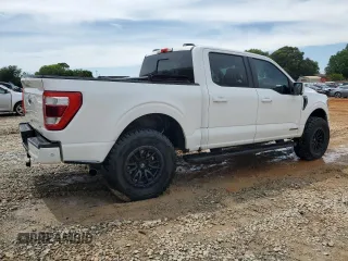 2021 Ford F-150 XL with VIN 1FTFW1ED9MFC67912, listed as a Copart auction lot 61664075 with 58,999 mi miles and Salvage title. Bid and sale history available at DreamBid. Image 3.