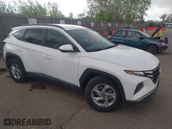 2024 Hyundai Tucson SEL with VIN 5NMJBCDE2RH362446, listed as a IAAI auction lot 42174042 with 34,066 mi miles and . Bid and sale history available at carsss.com. Image 1.