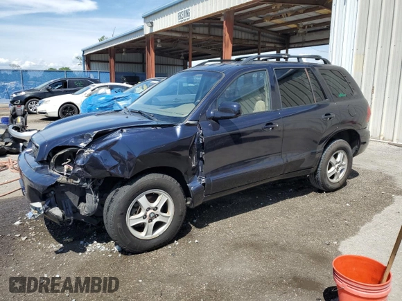 2004 Hyundai Santa Fe GLS with VIN KM8SC13E94U713339, listed as a Copart auction lot 51162085 with 164,357 mi miles and Salvage Title. Bid and sale history available at carsss.com. Image 1.