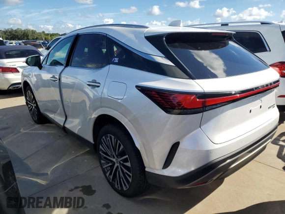 2024 Lexus RX with VIN 2T2BBMCA8RC039688, listed as a Copart auction lot 73809504 with Not Provided miles and Non Repairable. Bid and sale history available at carsss.com. Image 2.