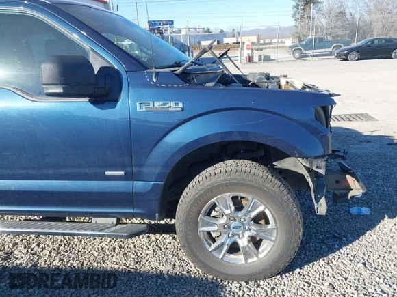 2017 Ford F-150 XL with VIN 1FTEX1EP2HFA30879, listed as a IAAI auction lot 41027941 with 54,480 mi miles. Bid and sale history available at carsss.com. Image 19.