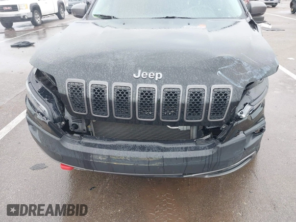 2019 Jeep Cherokee Trailhawk Elite with VIN 1C4PJMBX6KD418409, listed as a IAAI auction lot 41178690 with 80,755 mi miles. Bid and sale history available at carsss.com. Image 6.