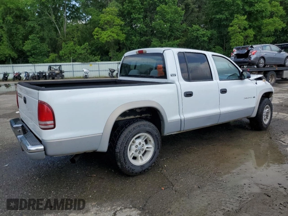 2000 Dodge Dakota Sport with VIN 1B7GL2AN1YS763396, listed as a Copart auction lot 55261515 with 132,660 mi miles and Salvage Title. Bid and sale history available at DreamBid. Image 3.