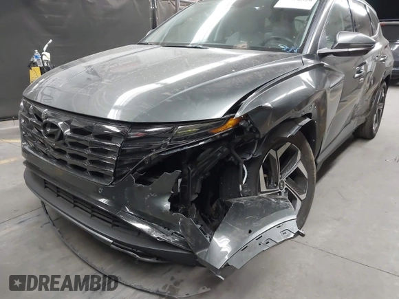 2023 Hyundai Tucson Limited with VIN 5NMJE3AE5PH248949, listed as a IAAI auction lot 42150329 with 16,499 mi miles and . Bid and sale history available at DreamBid. Image 6.
