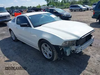 2013 Ford Mustang V6 with VIN 1ZVBP8AM5D5265880, listed as a IAAI auction lot 42617490 with 99,638 mi miles and . Bid and sale history available at DreamBid. Image 1.