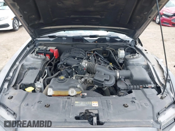 2013 Ford Mustang V6 with VIN 1ZVBP8AM7D5272040, listed as a IAAI auction lot 42407314 with 64,258 mi miles and . Bid and sale history available at DreamBid. Image 10.