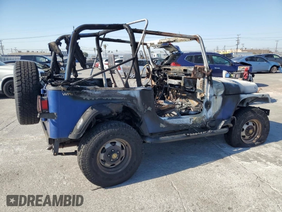1995 Jeep Wrangler S with VIN 1J4FY19P8SP274074, listed as a Copart auction lot 74381094 with 0 mi miles and Salvage Title. Bid and sale history available at carsss.com. Image 3.
