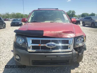 2010 Ford Escape Limited with VIN 1FMCU9E72AKD38044, listed as a Copart auction lot 55835725 with 231,092 mi miles and Salvage title. Bid and sale history available at DreamBid. Image 5.