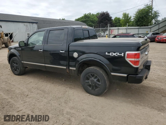 2010 Ford F-150 XL with VIN 1FTFW1EV7AFD41557, listed as a Copart auction lot 62374285 with 238,760 mi miles and Clean title. Bid and sale history available at DreamBid. Image 2.