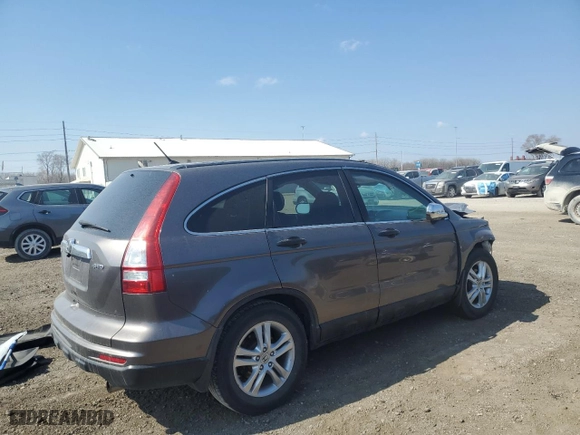 2010 Honda CR-V EX with VIN 5J6RE4H55AL063170, listed as a Copart auction lot 50600025 with 177,953 mi miles and Salvage Title. Bid and sale history available at carsss.com. Image 3.