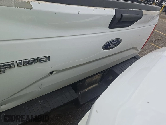 2017 Ford F-150 XL with VIN 1FTEX1EP1HKC73011, listed as a IAAI auction lot 42788915 with 196,143 mi miles and . Bid and sale history available at DreamBid. Image 8.