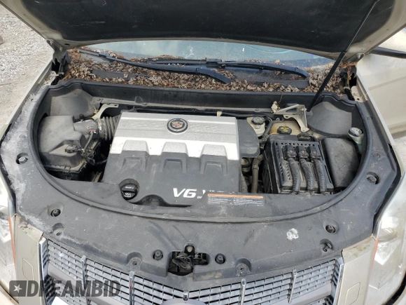 2010 Cadillac SRX Premium Collection with VIN 3GYFNCEY5AS620018, listed as a Copart auction lot 52893755 with Not provided miles and Salvage title. Bid and sale history available at DreamBid. Image 12.
