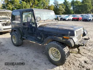 1994 Jeep Wrangler with VIN 1J4FY29S1RP461693, listed as a Copart auction lot 73662974 with 202,452 mi miles and Clean Title. Bid and sale history available at carsss.com. Image 4.