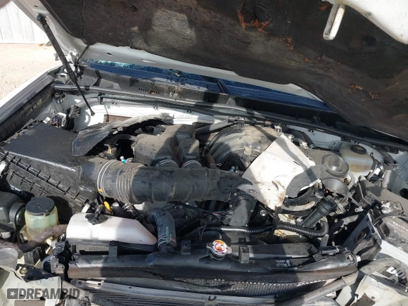 2019 Toyota 4Runner SR5 with VIN JTEBU5JR2K5616582, listed as a IAAI auction lot 41159029 with 1 mi miles. Bid and sale history available at carsss.com. Image 10.