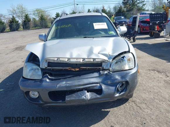 2006 Hyundai Santa Fe GLS with VIN KM8SC13D96U071585, listed as a IAAI auction lot 42005602 with 195,143 mi miles. Bid and sale history available at carsss.com. Image 11.