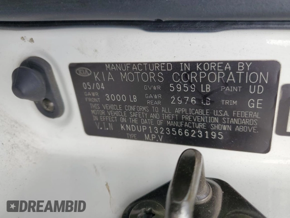 2005 Kia Sedona LX with VIN KNDUP132356623195, listed as a Copart auction lot 46623545 with 173,049 mi miles and Salvage Title. Bid and sale history available at carsss.com. Image 13.