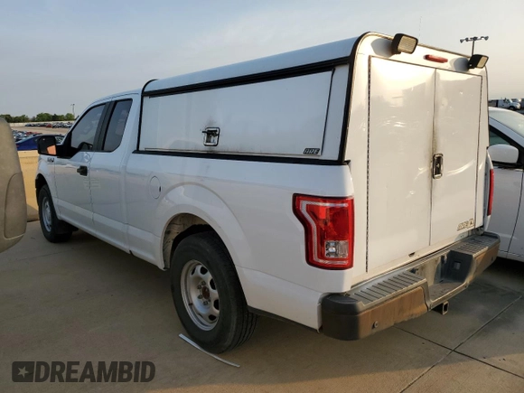 2017 Ford F-150 XL with VIN 1FTEX1C80HKE24030, listed as a Copart auction lot 48968435 with 175,104 mi miles and Clean Title. Bid and sale history available at carsss.com. Image 2.
