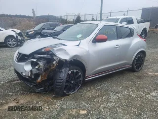 2013 Nissan Juke S with VIN JN8AF5MVXDT219143, listed as a Copart auction lot 49117665 with Not Provided miles and Salvage Title. Bid and sale history available at DreamBid. Image 1.