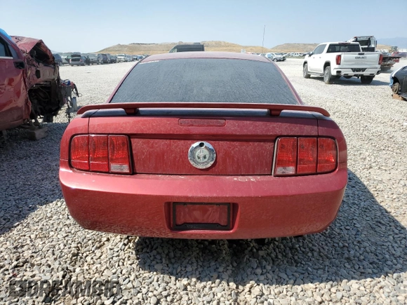 2006 Ford Mustang Standard with VIN 1ZVFT80N865136462, listed as a Copart auction lot 65148945 with 199,173 mi miles and Clean title. Bid and sale history available at DreamBid. Image 6.