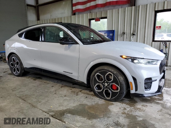 2022 Ford Mustang Mach-E GT with VIN 3FMTK4SEXNMA25284, listed as a Copart auction lot 56784195 with Not provided miles and Salvage title. Bid and sale history available at DreamBid. Image 4.