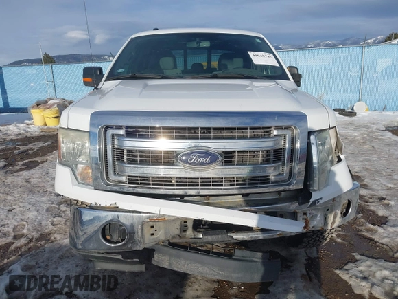 2013 Ford F-150 XL with VIN 1FTFW1EF7DKD91041, listed as a IAAI auction lot 41648747 with 170,052 mi miles. Bid and sale history available at carsss.com. Image 12.