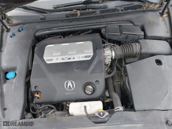 2008 Acura TL with VIN 19UUA66228A017724, listed as a IAAI auction lot 42035737 with 166,918 mi miles. Bid and sale history available at carsss.com. Image 10.