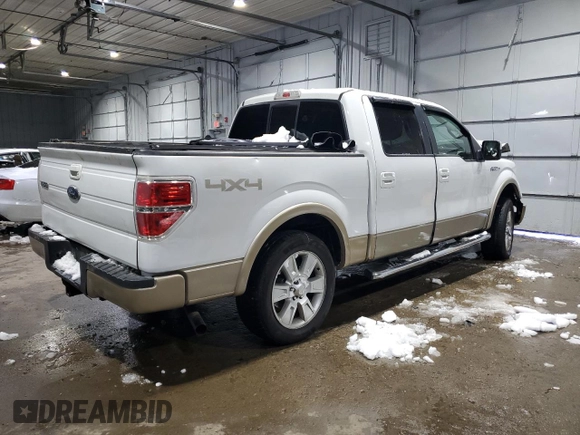 2010 Ford F-150 XL with VIN 1FTFW1EVXAFD69983, listed as a Copart auction lot 44758875 with 299,876 mi miles and Salvage Title. Bid and sale history available at DreamBid. Image 3.