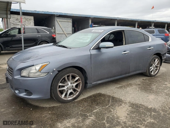 2010 Nissan Maxima 3.5 SV w/Premium Pkg with VIN 1N4AA5AP8AC855495, listed as a Copart auction lot 50995625 with 151,947 mi miles and Salvage Title. Bid and sale history available at carsss.com. Image 1.