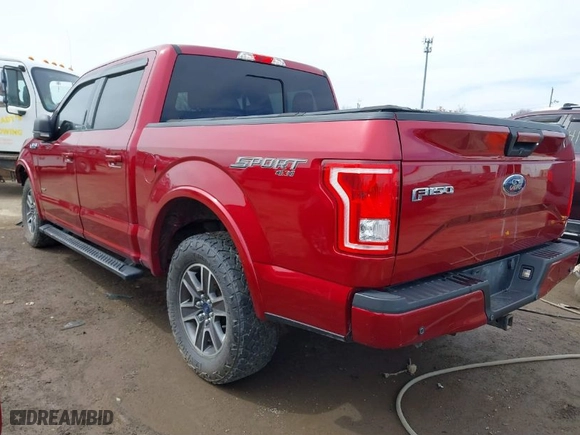 2017 Ford F-150 XL with VIN 1FTEW1EP5HFB31952, listed as a IAAI auction lot 41869982 with 137,201 mi miles. Bid and sale history available at carsss.com. Image 3.