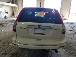 2010 Honda CR-V EX with VIN 5J6RE4H55AL013997, listed as a Copart auction lot 50903125 with 146,394 mi miles and Non Repairable. Bid and sale history available at carsss.com. Image 6.
